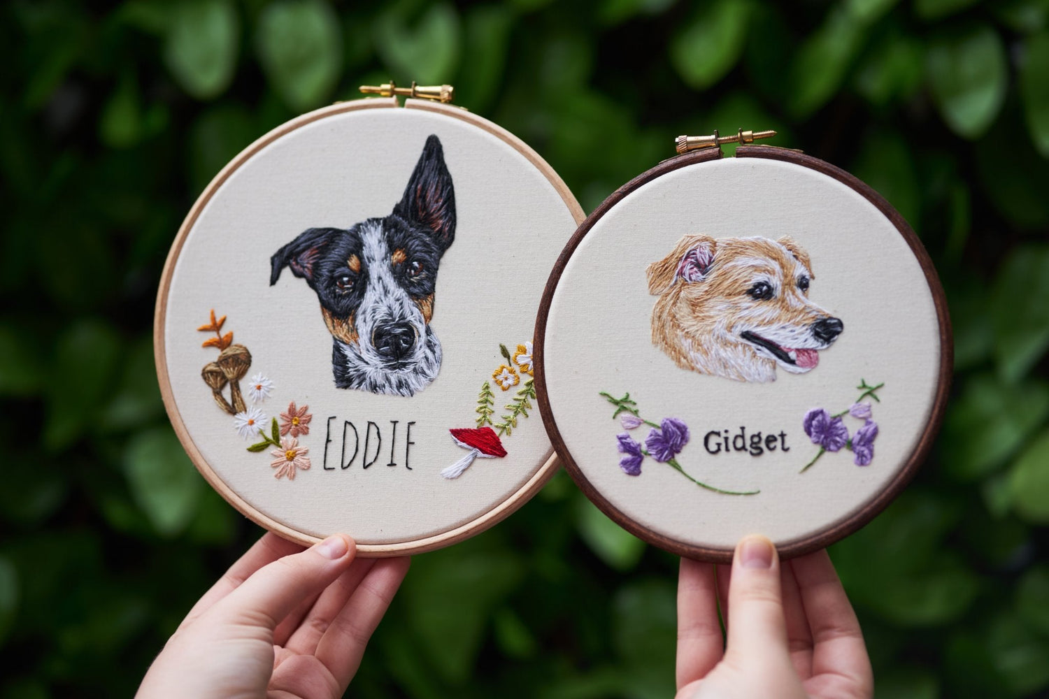 Pet Portraits