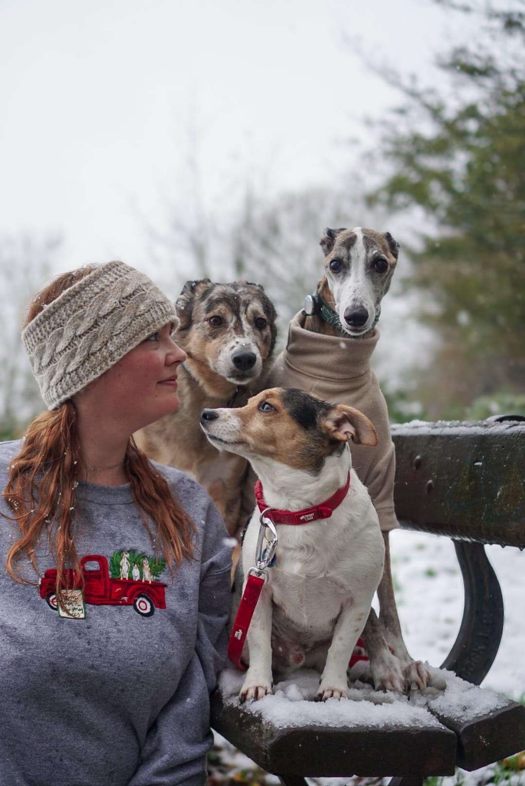 'Christmas Truck' Pet Portrait Sweater