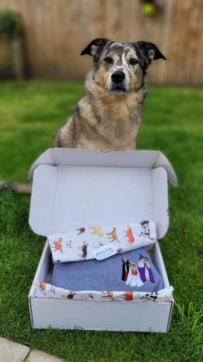 Personalised Halloween Pet Portrait Sweatshirt