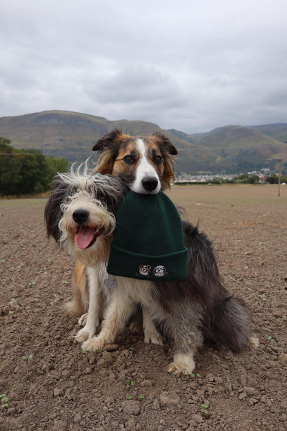 'Christmas Lights' Pet Portrait Beanie
