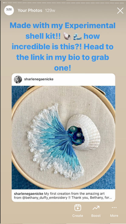 Experimental Shell Embroidery Kit
