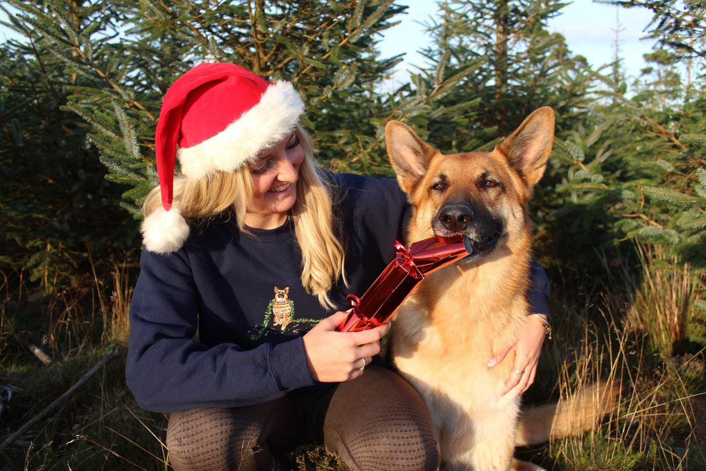 'Christmas Chaos' Pet Portrait Jumper