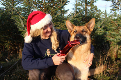 'Christmas Chaos' Pet Portrait Jumper