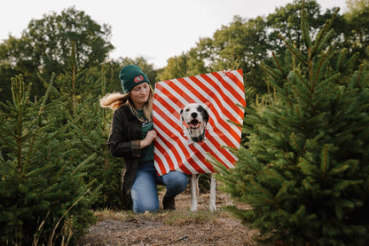 'Wrapping Paper' Pet Portrait `Beanie