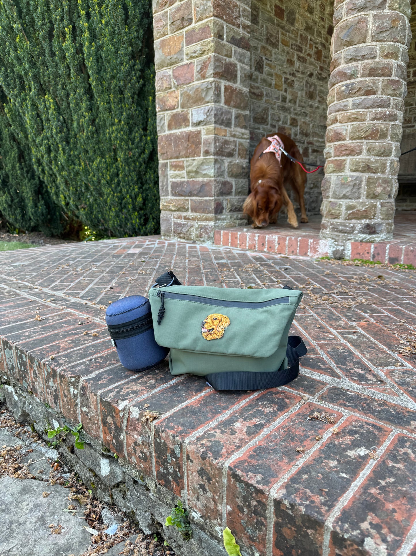 Pet Portrait Cross Body Bag