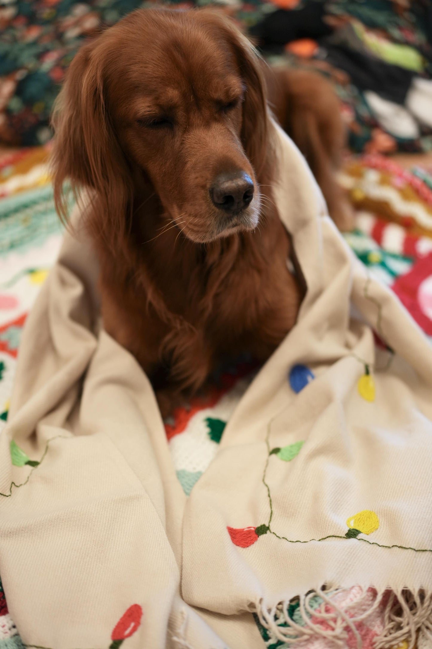 Hand Embroidered Christmas Lights Scarf