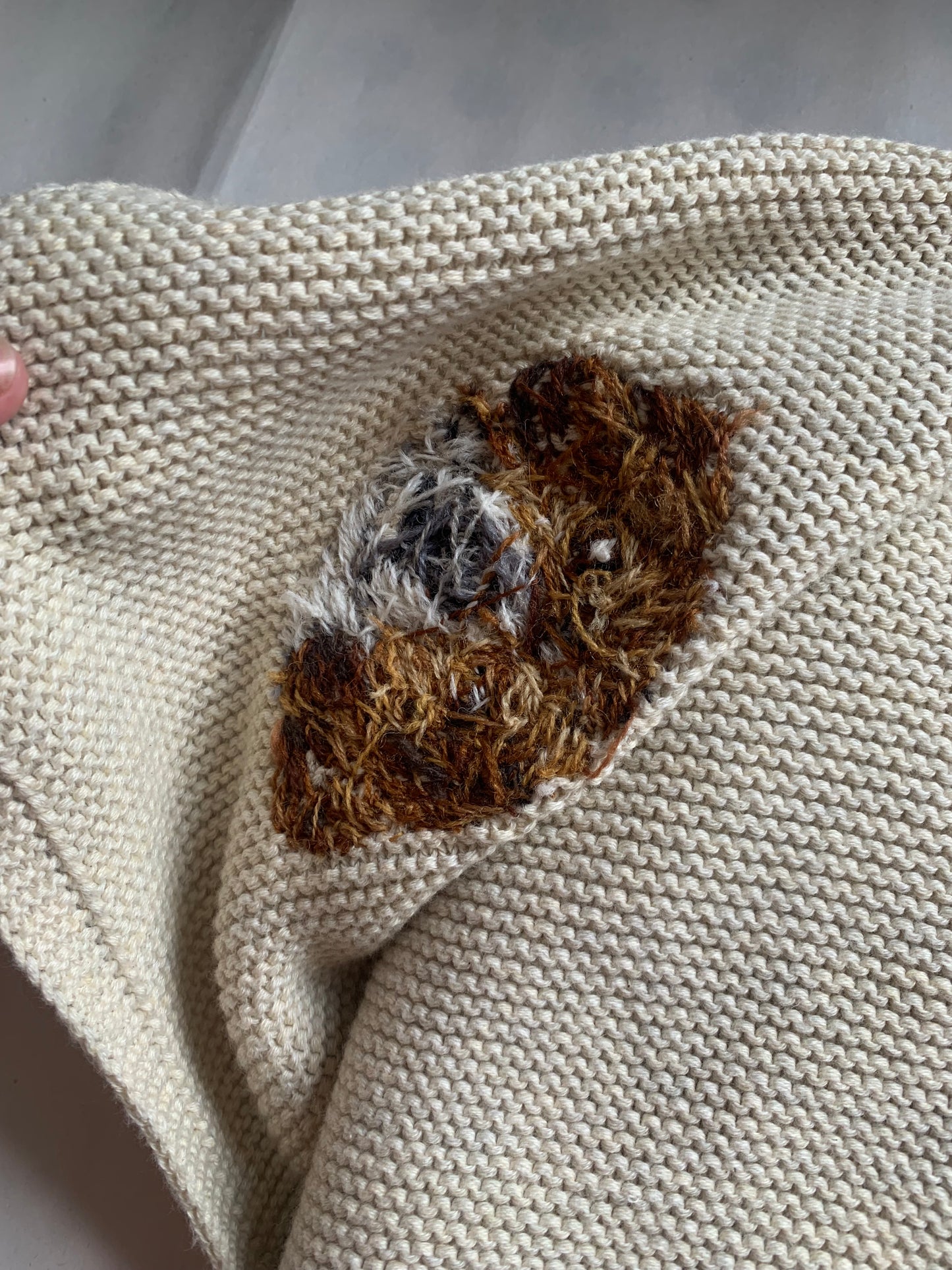 Hand Embroidered Pet Portrait Baby Blanket