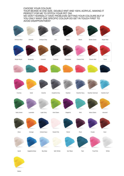 'Christmas Lights' Pet Portrait Beanie