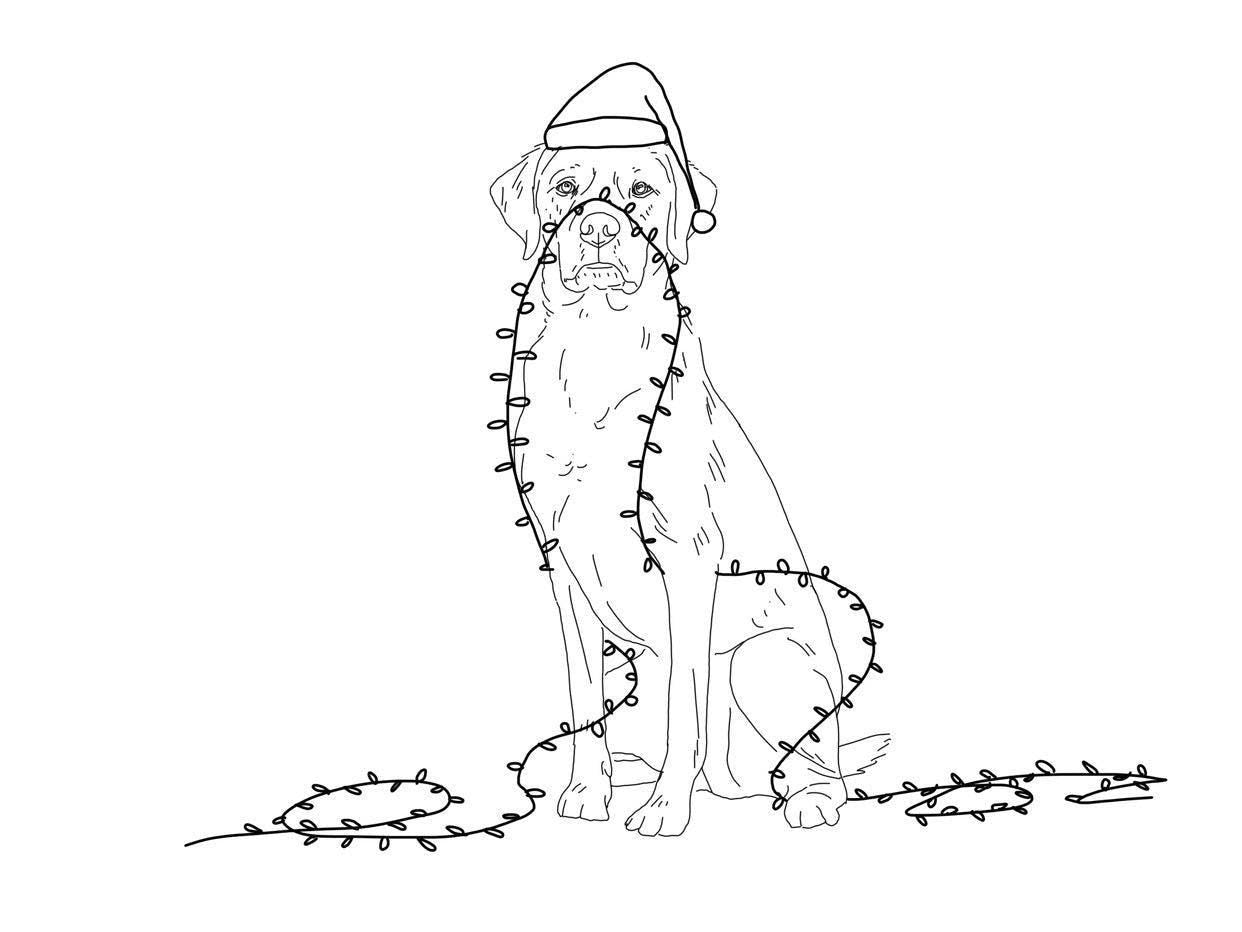 'Christmas Lights' Pet Portrait Sweatshirt