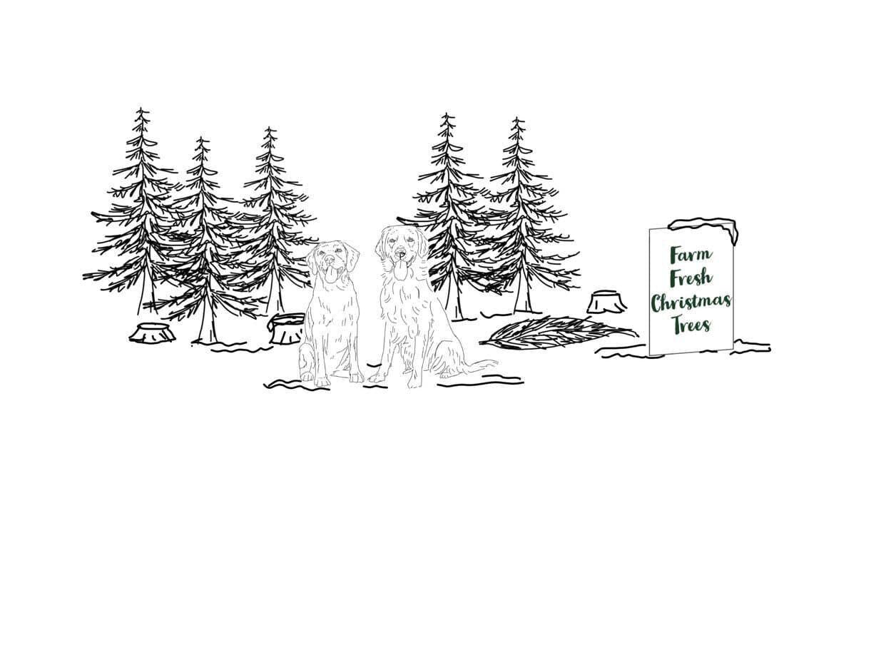 Christmas Tree Farm' Pet Portrait Sweater