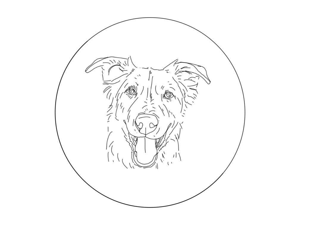 Hand Embroidered Wool Pet Portrait
