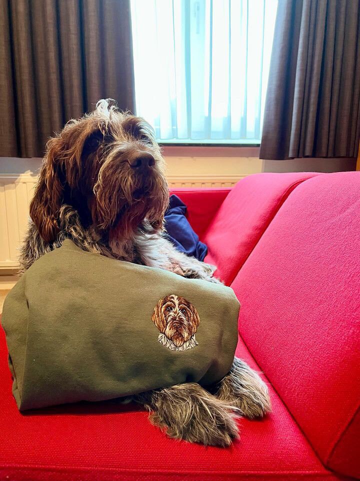 Hand Embroidered Pet Portrait Sweatshirt