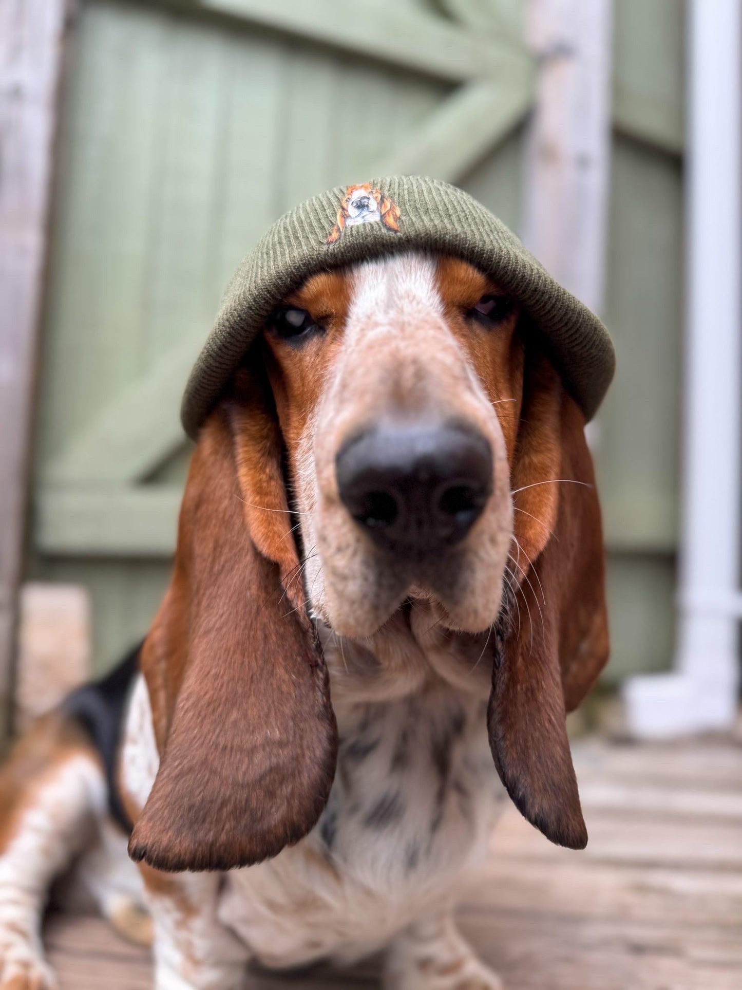 Halloween Pet Portrait Beanie