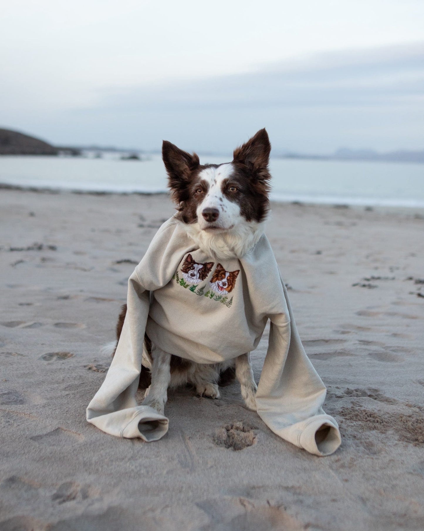 Hand Embroidered Pet Portrait Sweatshirt